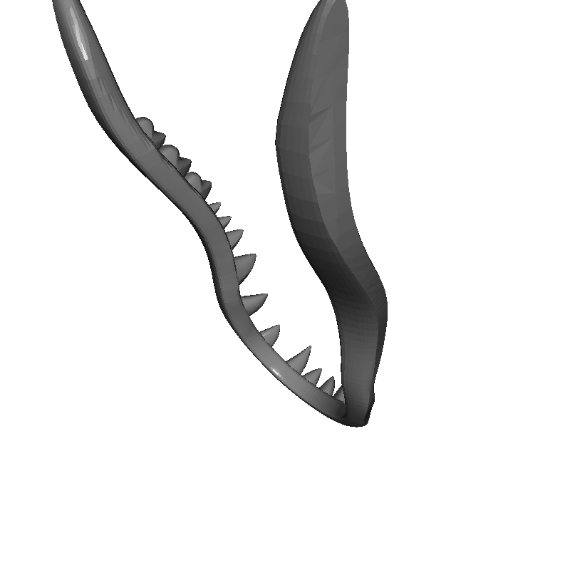 TTeeth.stl.stl preview